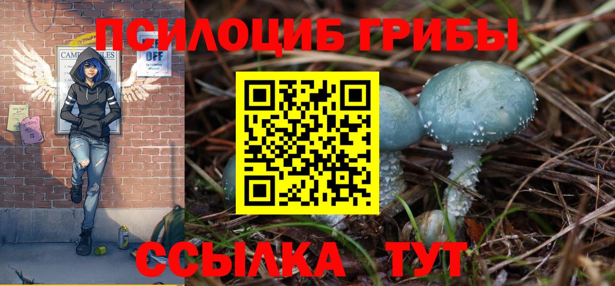 Псилоцибиновые грибы мицелий Минусинск