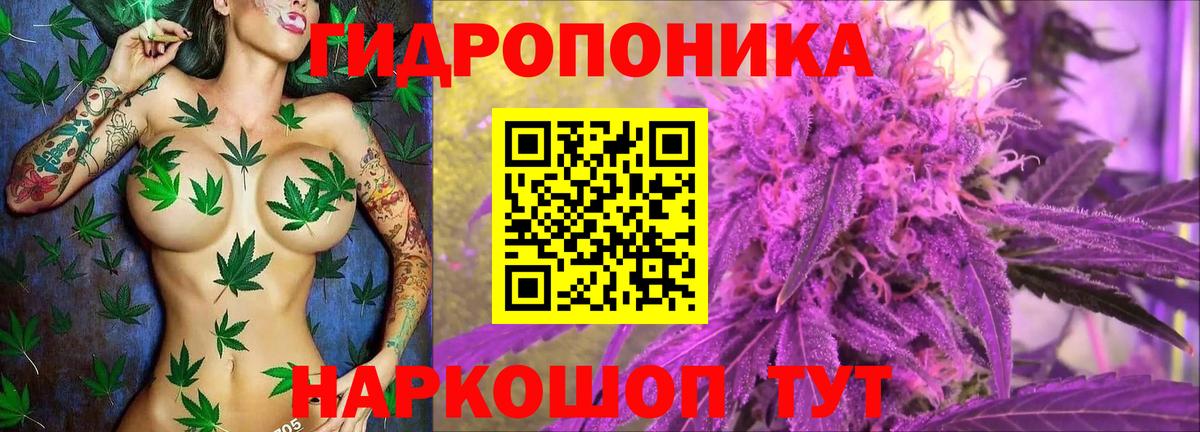 Бошки марихуана Bruce Banner  Марихуана семена  Марихуана конопля  Бошки Шишки планчик  Минусинск  Вход с VPN 